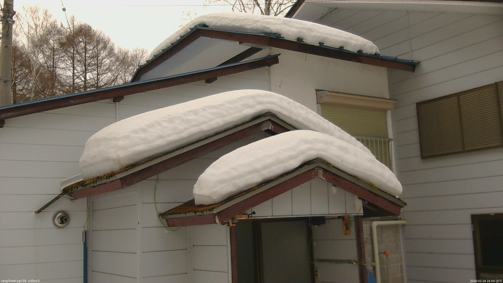 長野県菅平高原 ゆたか山荘 ゆたか山荘 2026/02/24 16:00