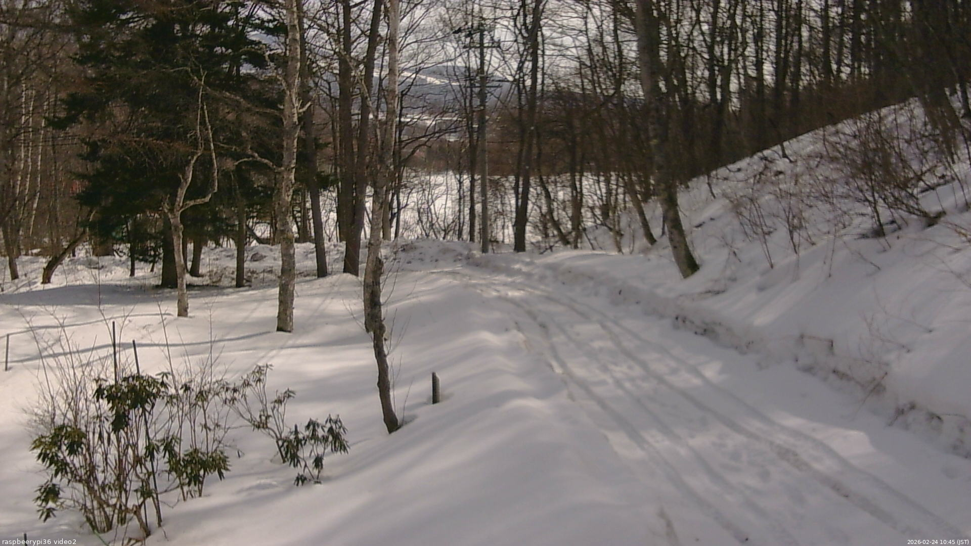 長野県菅平高原 ゆたか山荘 駐車場奥 2026/02/24 10:45