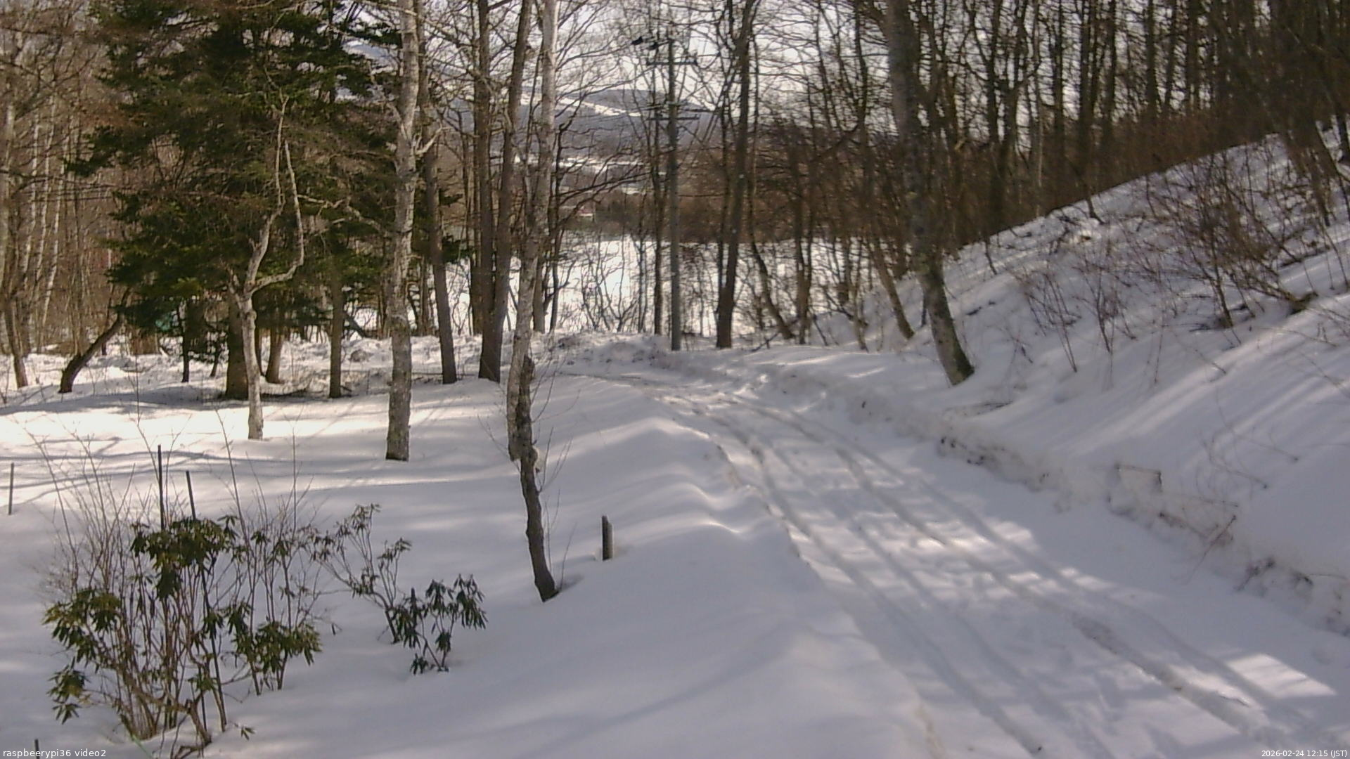 長野県菅平高原 ゆたか山荘 駐車場奥 2026/02/24 12:15