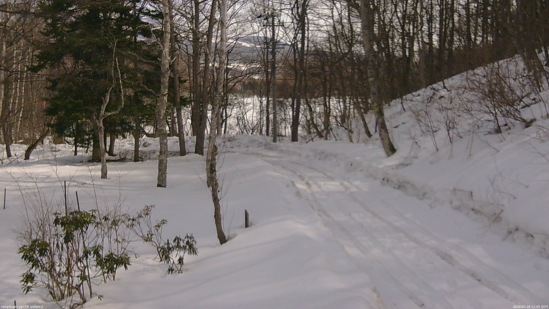長野県菅平高原 ゆたか山荘 駐車場奥 2026/02/24 12:45
