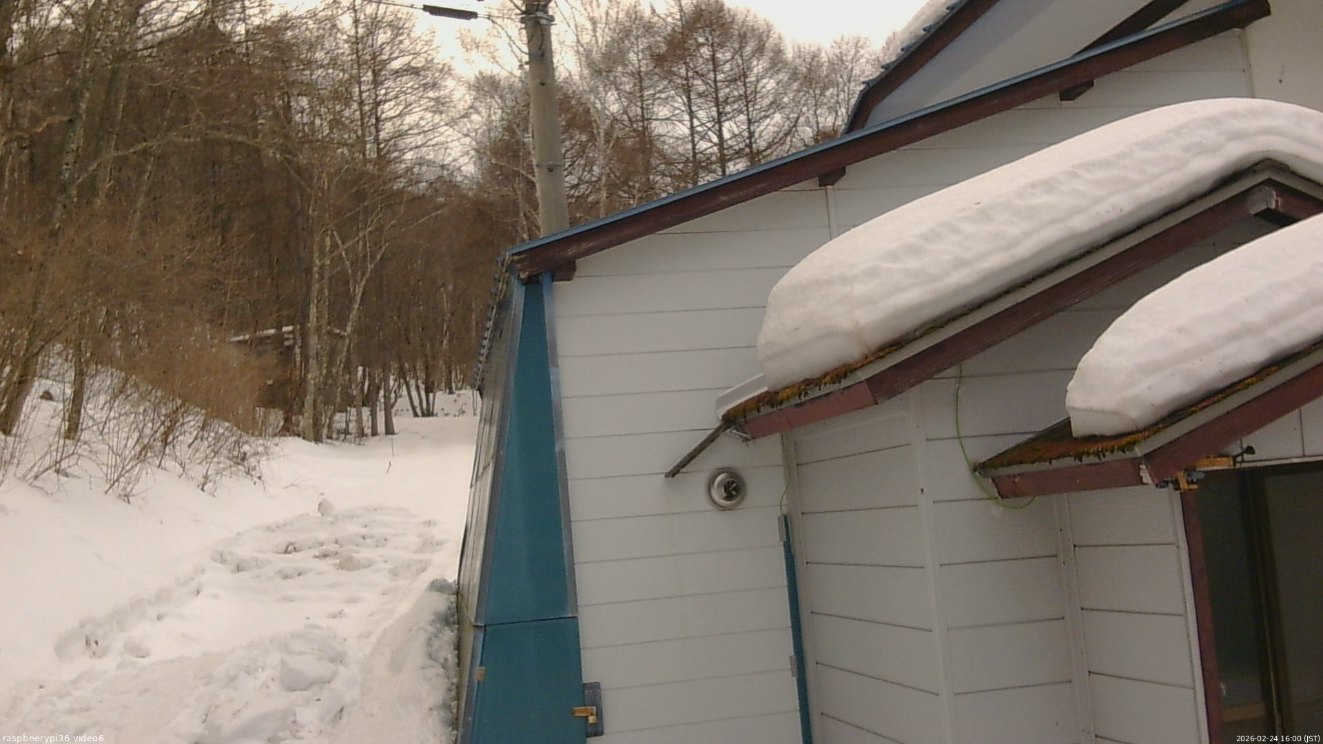 長野県菅平高原 ゆたか山荘 坂下 2026/02/24 16:00