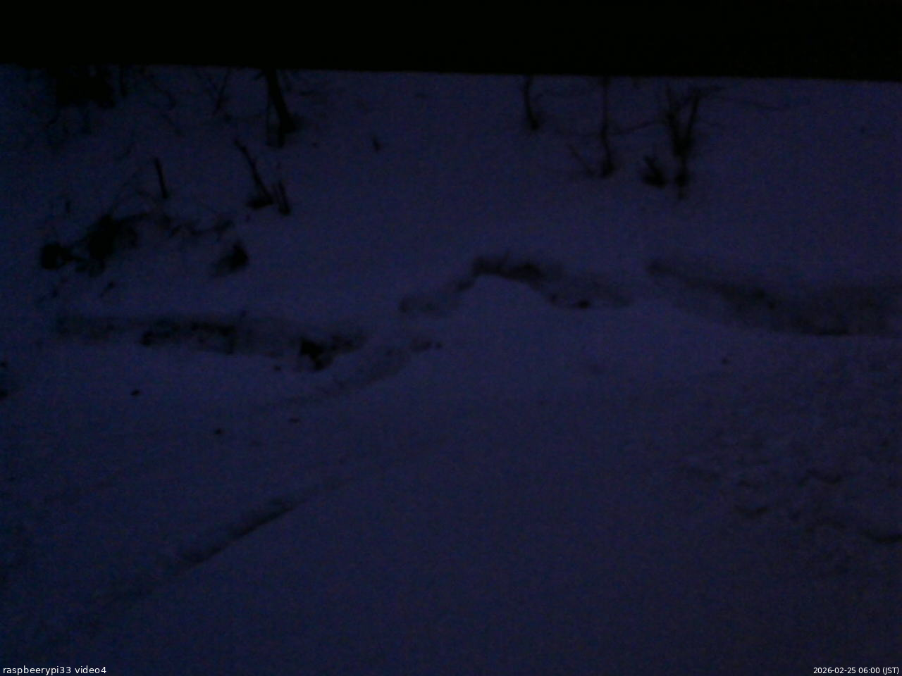 長野県菅平高原 ゆたか山荘 東側(坂下) 2026/02/25 06:00