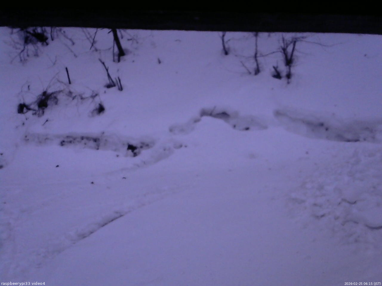 長野県菅平高原 ゆたか山荘 東側(坂下) 2026/02/25 06:15
