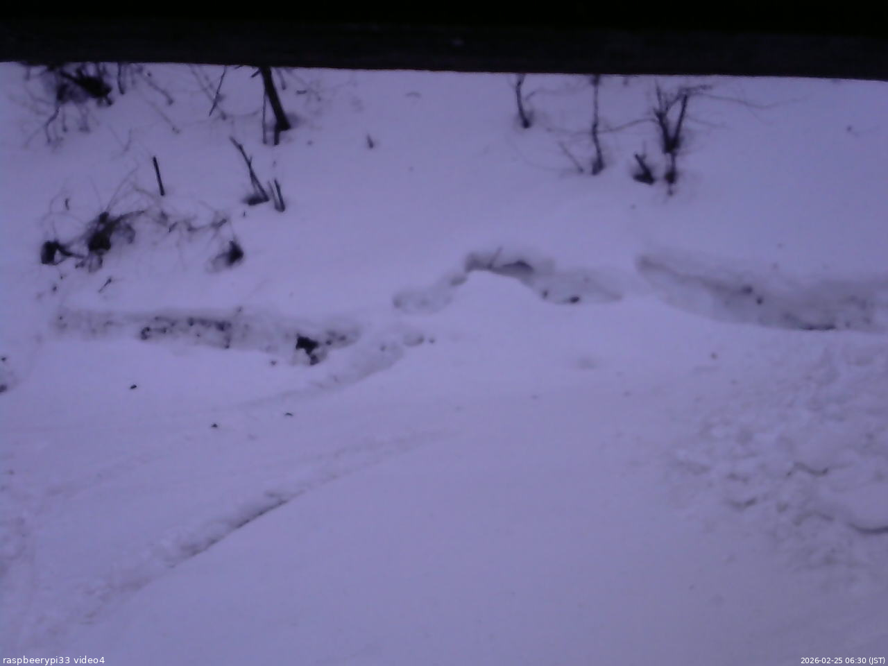 長野県菅平高原 ゆたか山荘 東側(坂下) 2026/02/25 06:30