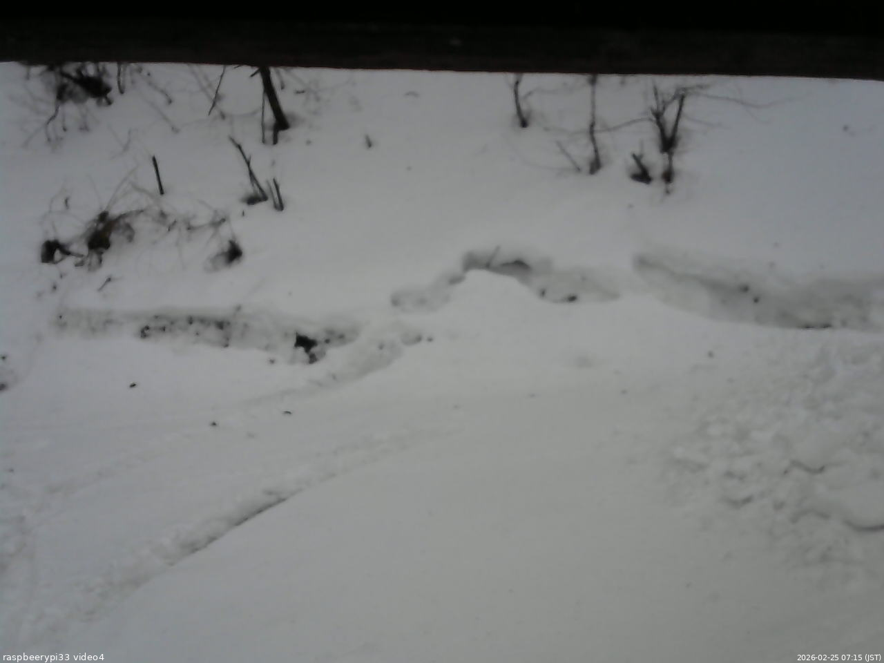 長野県菅平高原 ゆたか山荘 東側(坂下) 2026/02/25 07:15