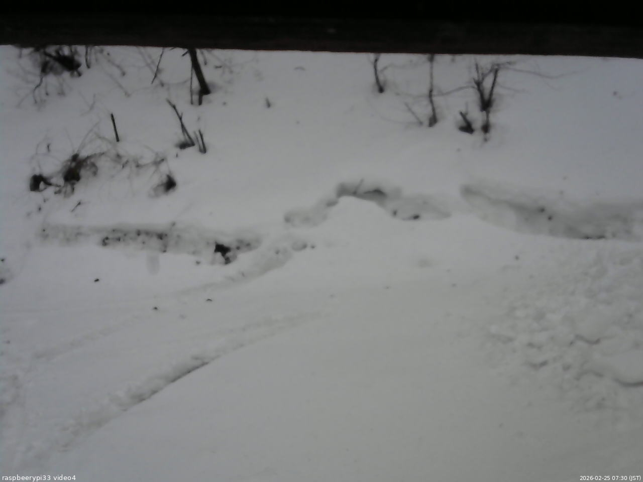 長野県菅平高原 ゆたか山荘 東側(坂下) 2026/02/25 07:30