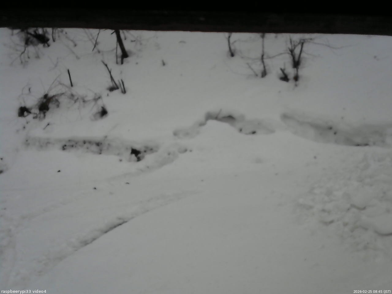 長野県菅平高原 ゆたか山荘 東側(坂下) 2026/02/25 08:45