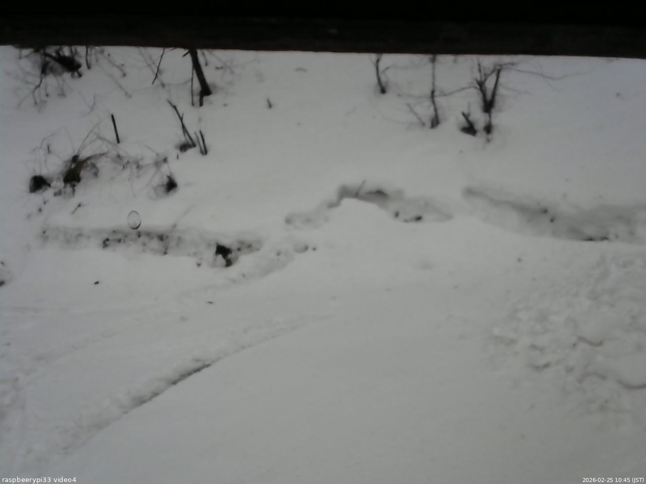 長野県菅平高原 ゆたか山荘 東側(坂下) 2026/02/25 10:45