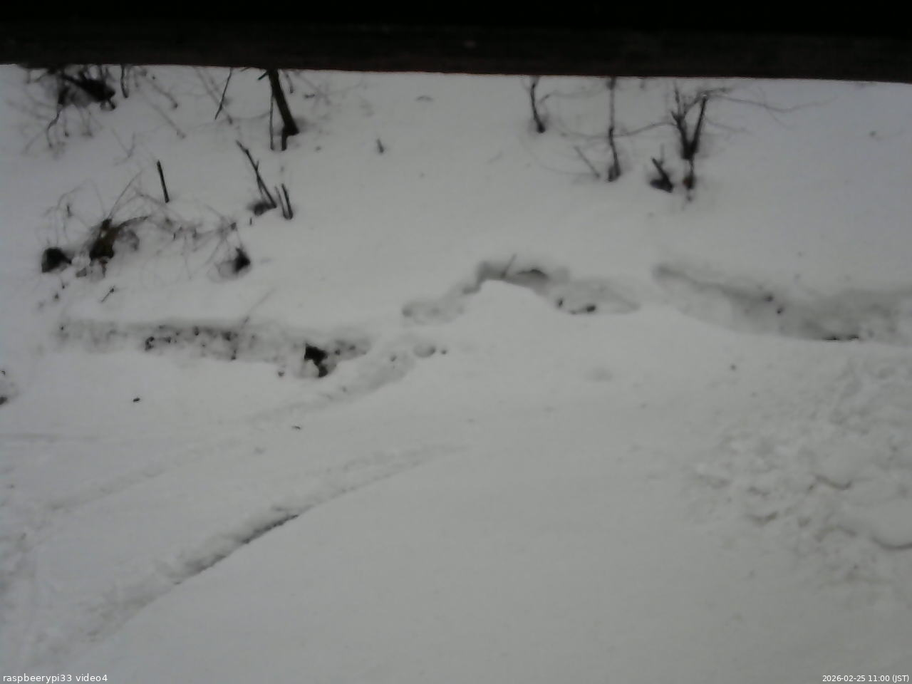 長野県菅平高原 ゆたか山荘 東側(坂下) 2026/02/25 11:00