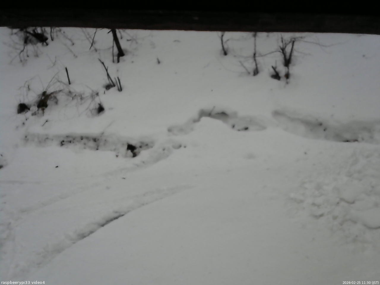 長野県菅平高原 ゆたか山荘 東側(坂下) 2026/02/25 11:30