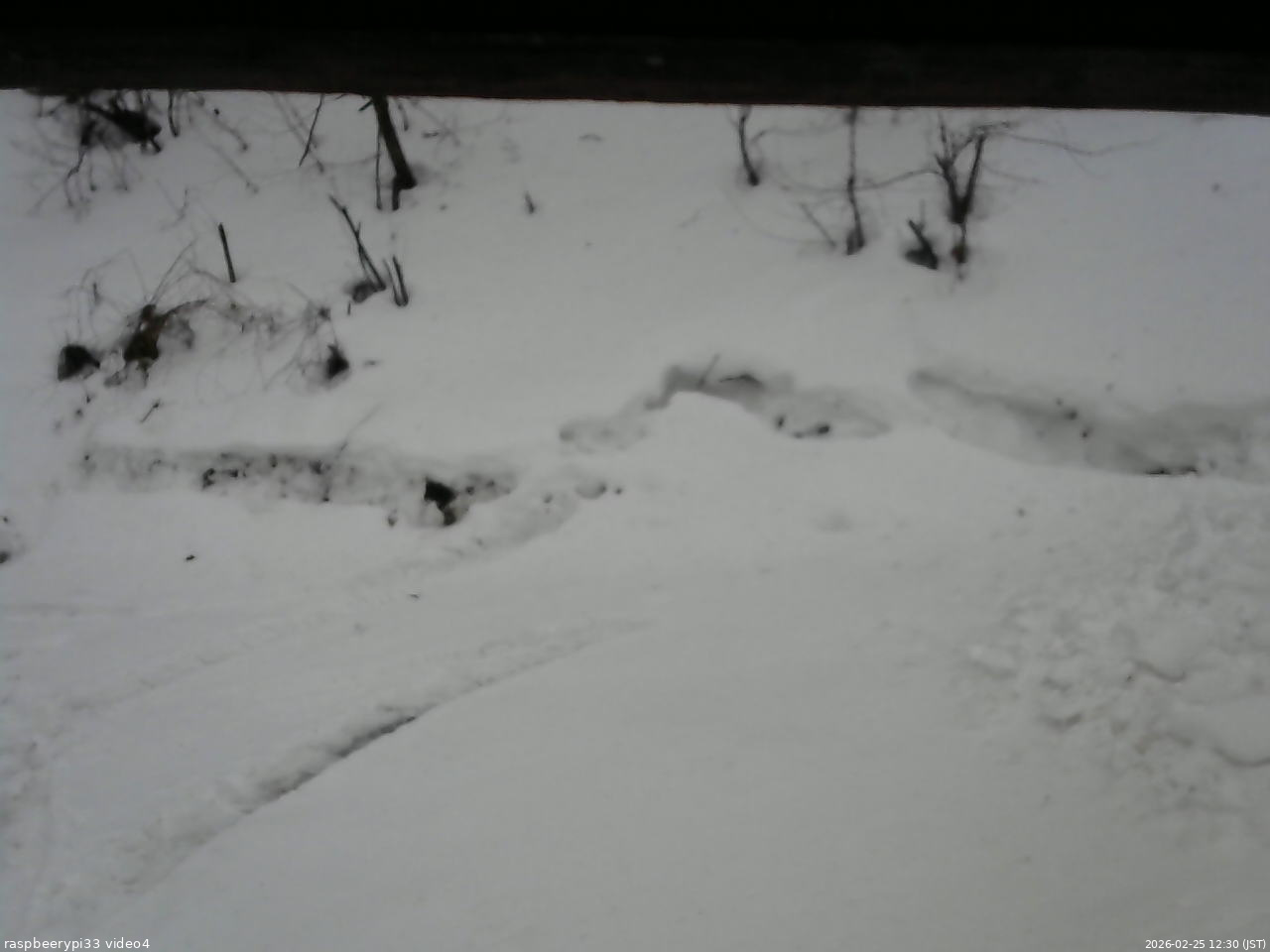 長野県菅平高原 ゆたか山荘 東側(坂下) 2026/02/25 12:30