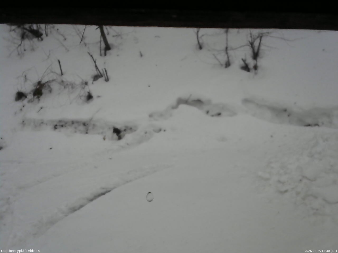 長野県菅平高原 ゆたか山荘 東側(坂下) 2026/02/25 13:30