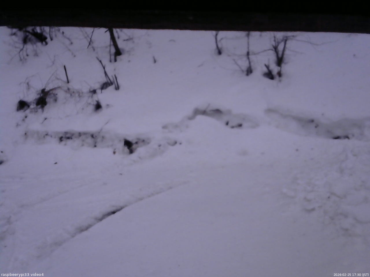 長野県菅平高原 ゆたか山荘 東側(坂下) 2026/02/25 17:30