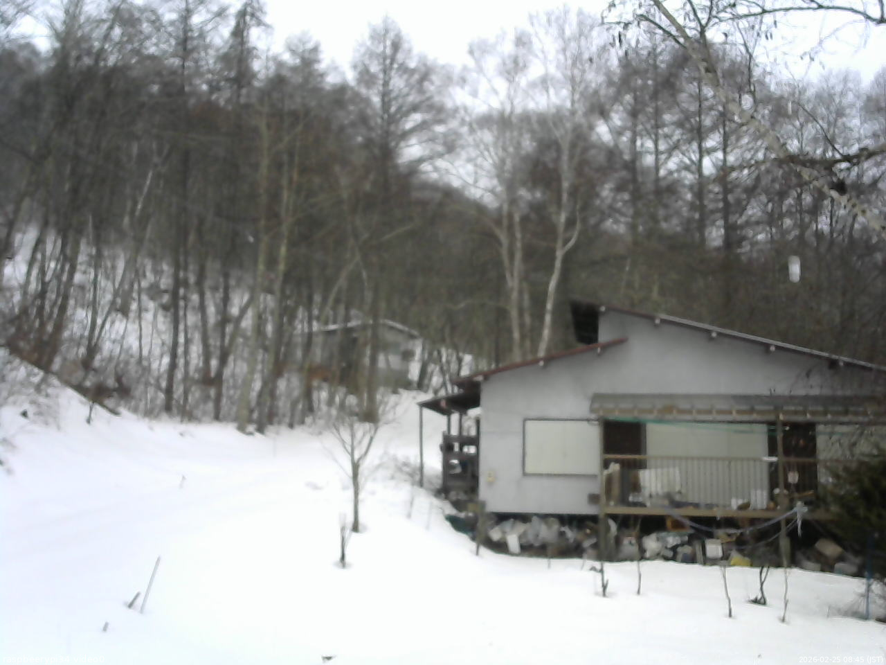 長野県菅平高原 ゆたか山荘 西側(坂上) 2026/02/25 08:45