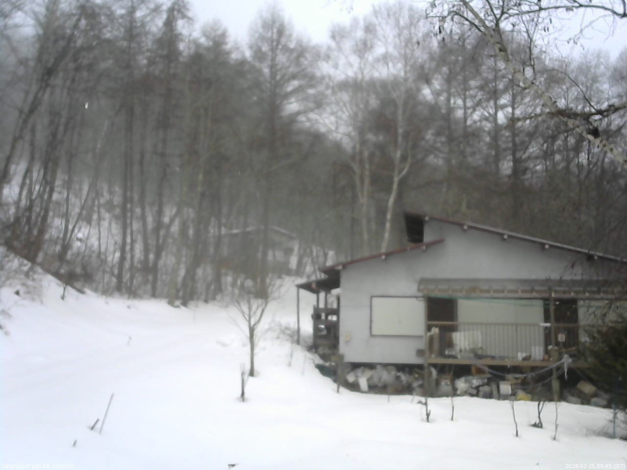長野県菅平高原 ゆたか山荘 西側(坂上) 2026/02/25 09:45