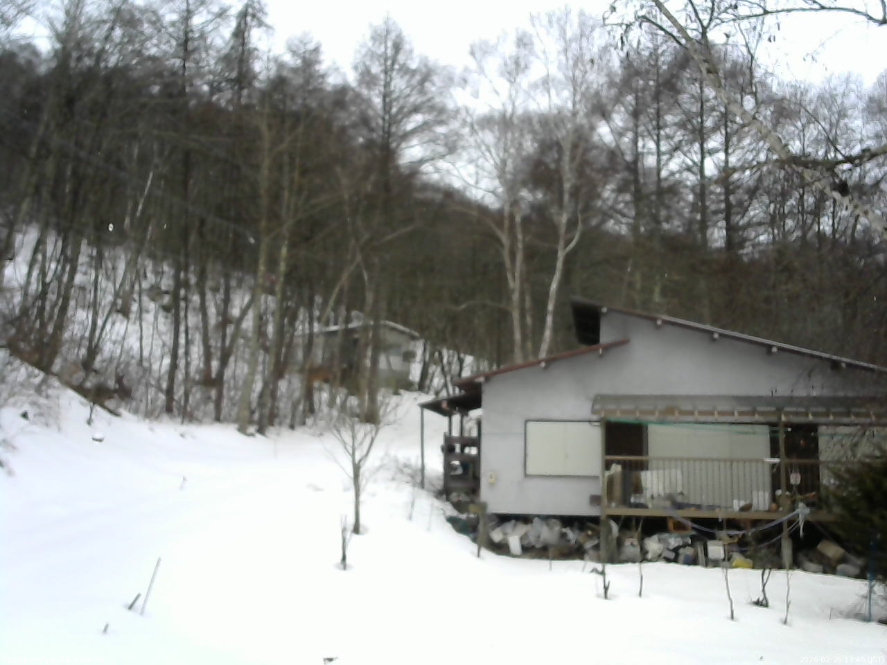 長野県菅平高原 ゆたか山荘 西側(坂上) 2026/02/25 11:45