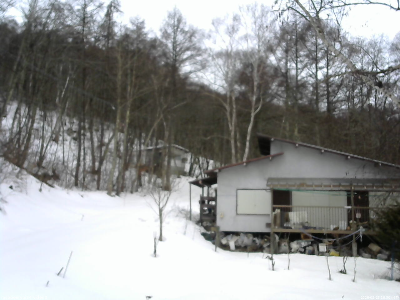 長野県菅平高原 ゆたか山荘 西側(坂上) 2026/02/25 16:30