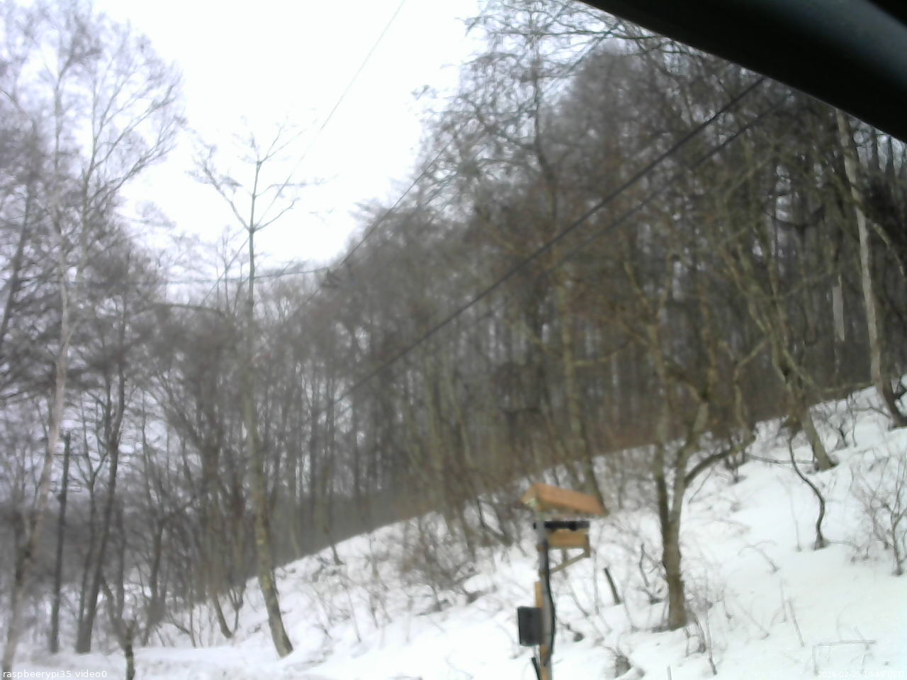 長野県菅平高原 ゆたか山荘 温度計 2026/02/25 10:45