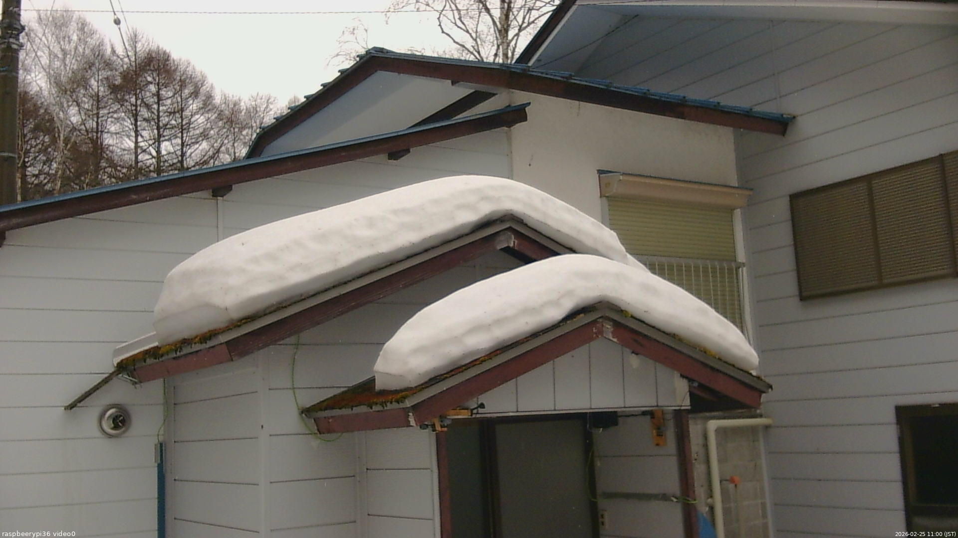 長野県菅平高原 ゆたか山荘 ゆたか山荘 2026/02/25 11:00