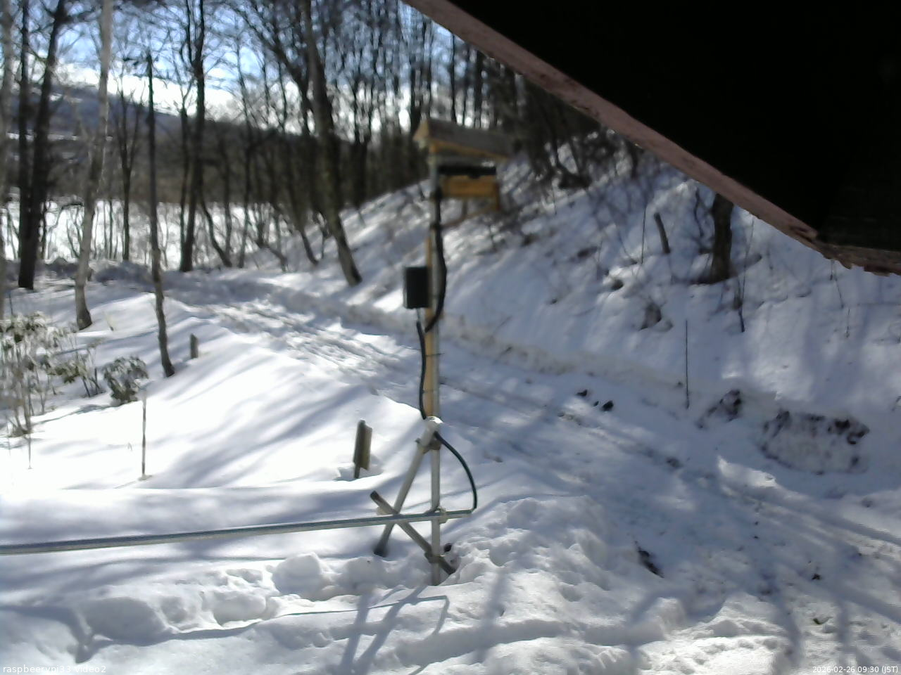 長野県菅平高原 ゆたか山荘 南側 2026/02/26 09:30