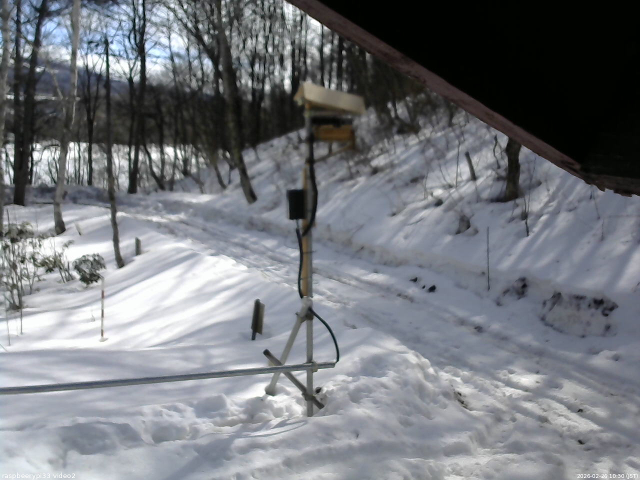 長野県菅平高原 ゆたか山荘 南側 2026/02/26 10:30