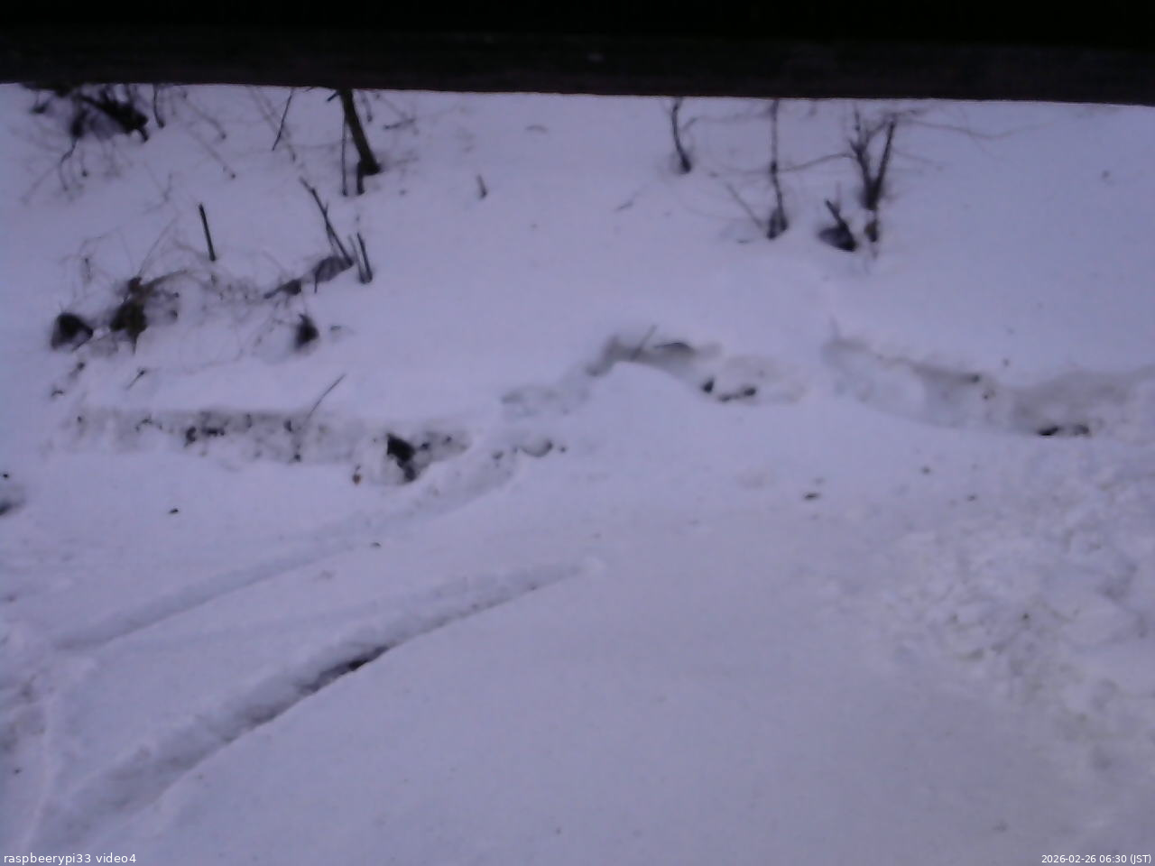 長野県菅平高原 ゆたか山荘 東側(坂下) 2026/02/26 06:30