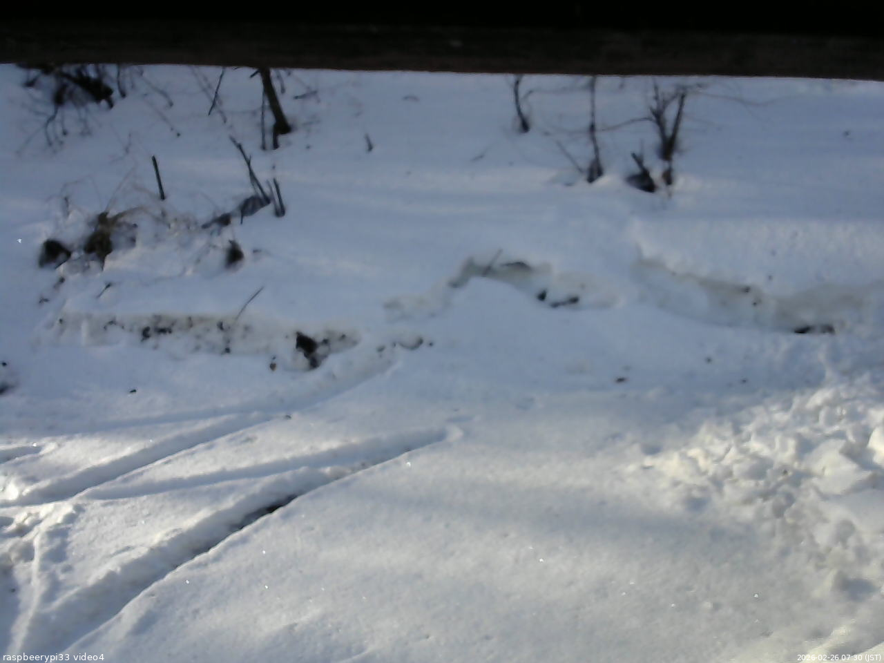 長野県菅平高原 ゆたか山荘 東側(坂下) 2026/02/26 07:30