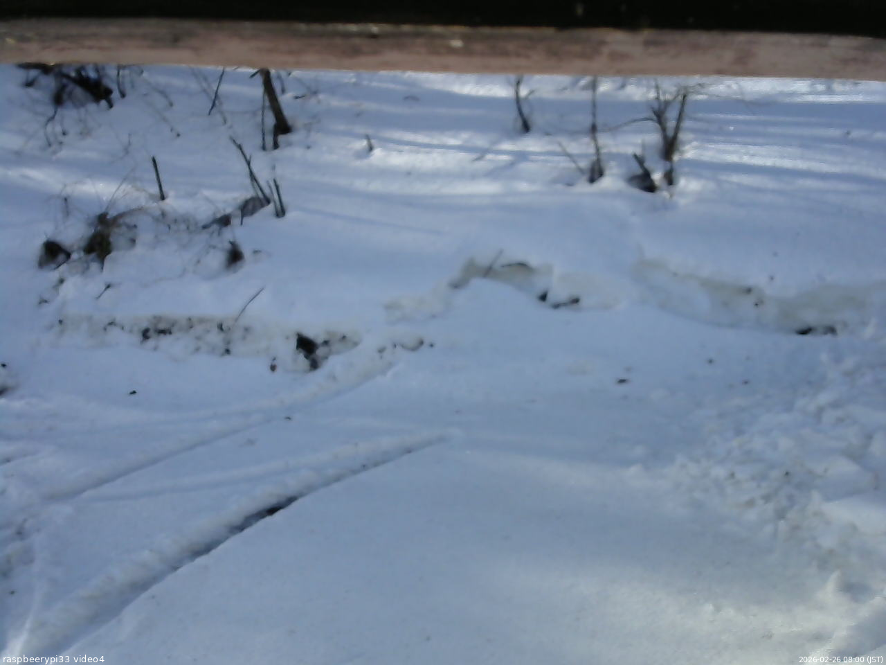 長野県菅平高原 ゆたか山荘 東側(坂下) 2026/02/26 08:00