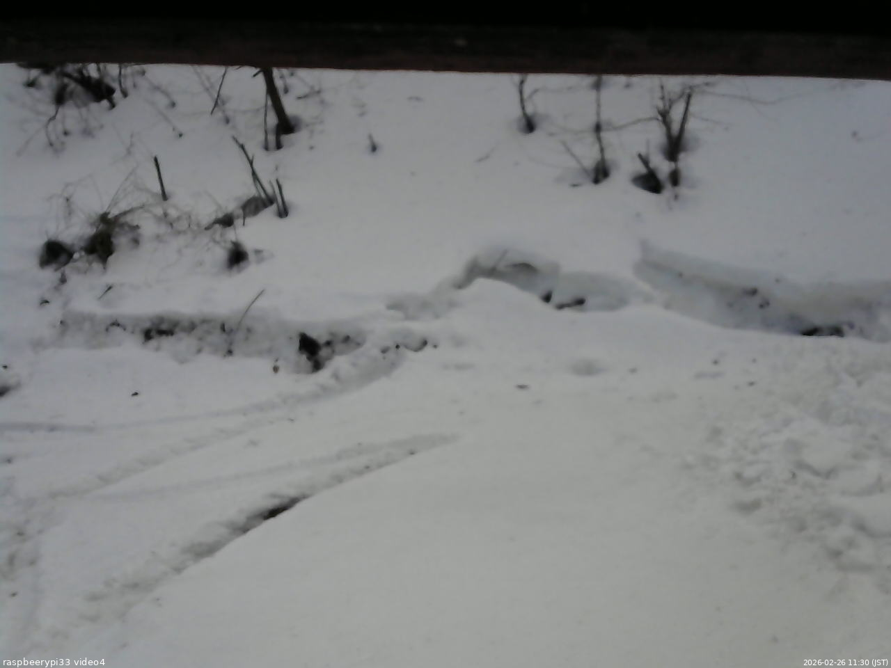 長野県菅平高原 ゆたか山荘 東側(坂下) 2026/02/26 11:30