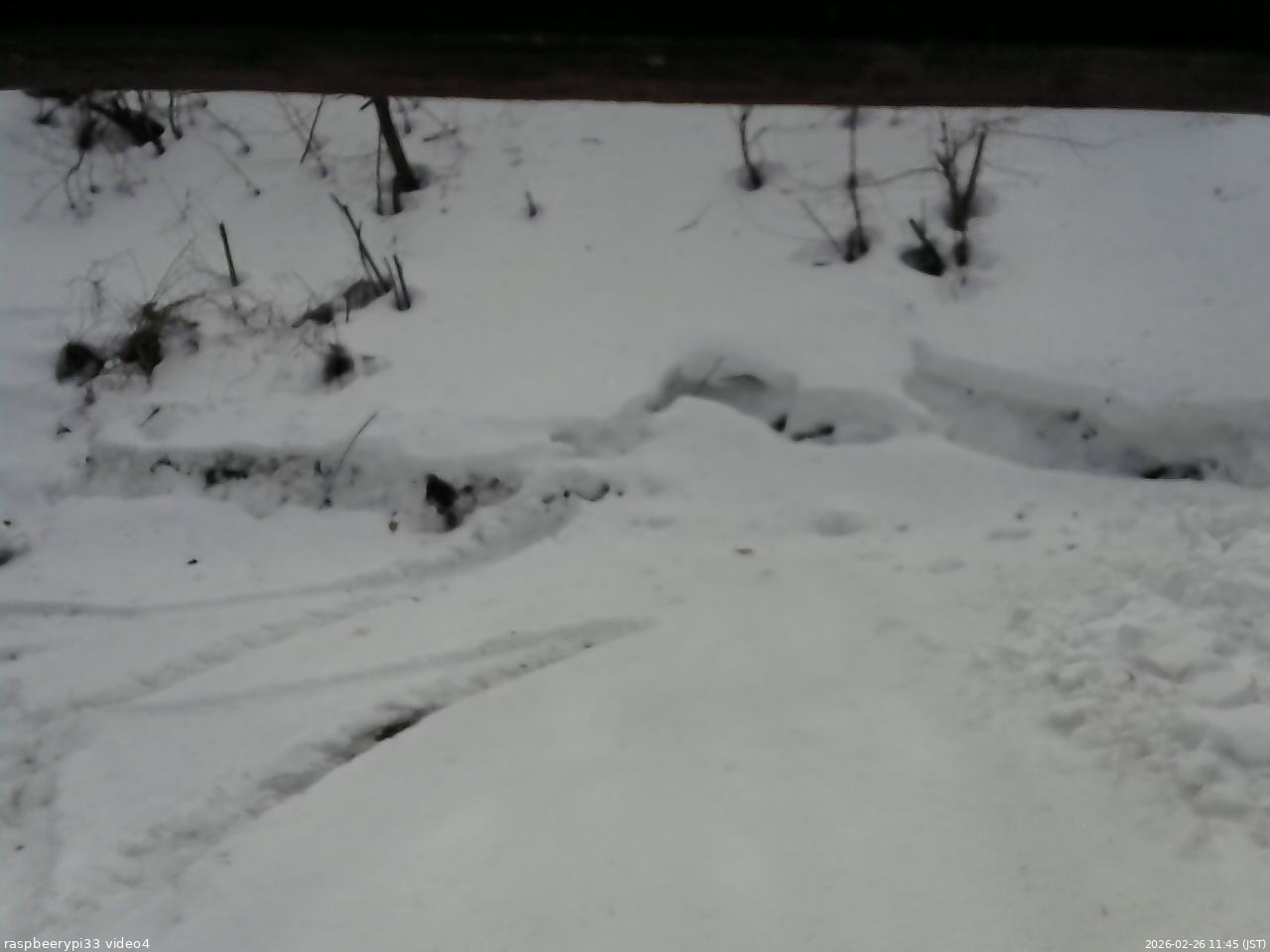 長野県菅平高原 ゆたか山荘 東側(坂下) 2026/02/26 11:45