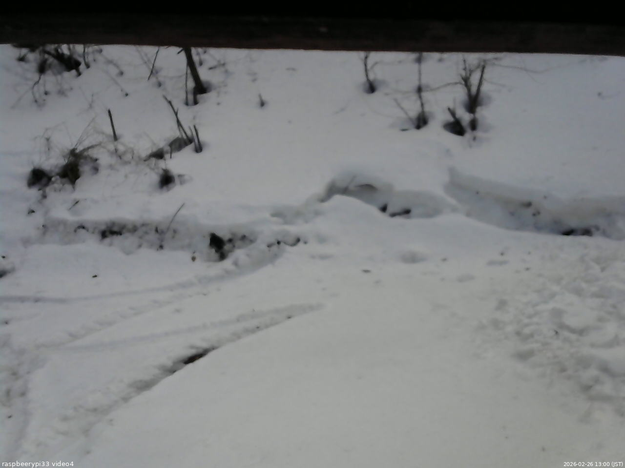 長野県菅平高原 ゆたか山荘 東側(坂下) 2026/02/26 13:00
