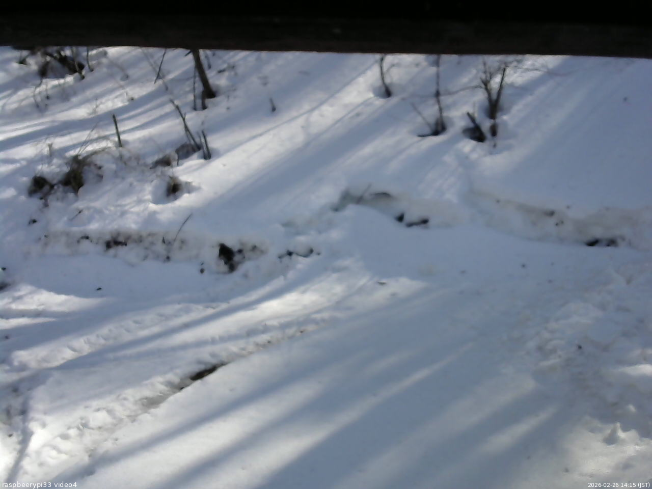 長野県菅平高原 ゆたか山荘 東側(坂下) 2026/02/26 14:15
