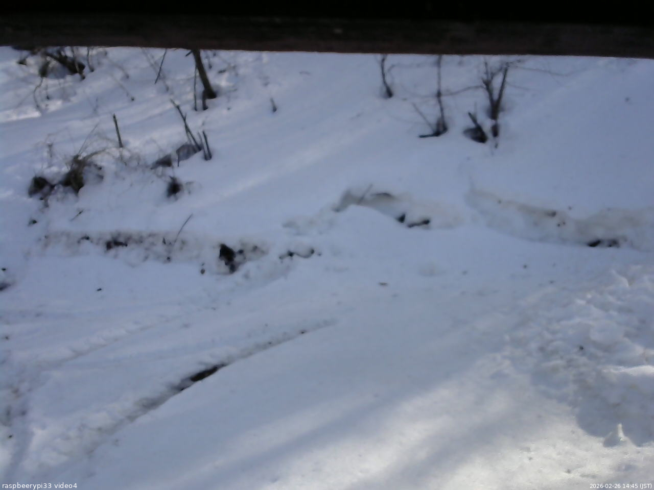 長野県菅平高原 ゆたか山荘 東側(坂下) 2026/02/26 14:45