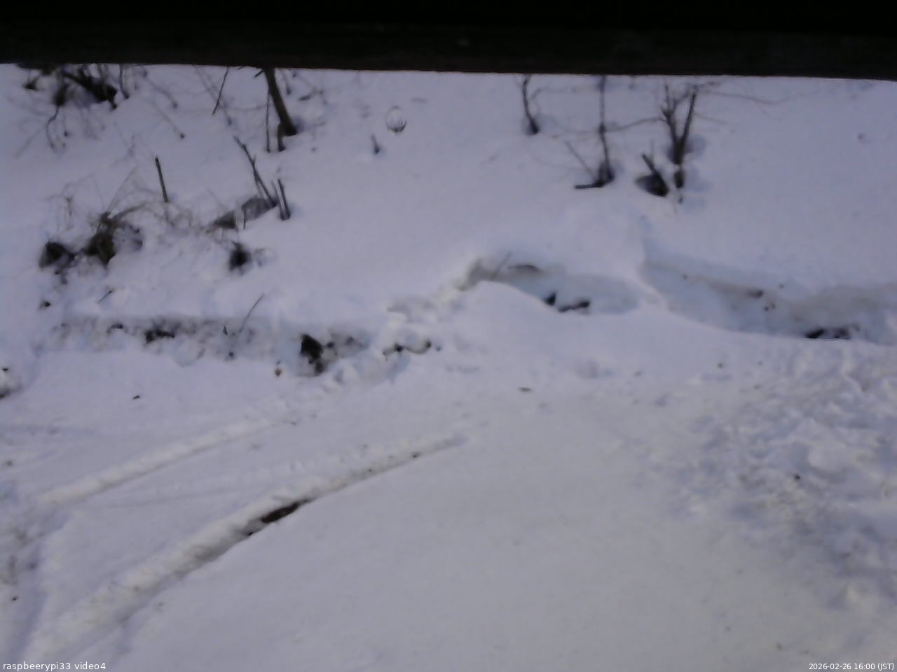 長野県菅平高原 ゆたか山荘 東側(坂下) 2026/02/26 16:00
