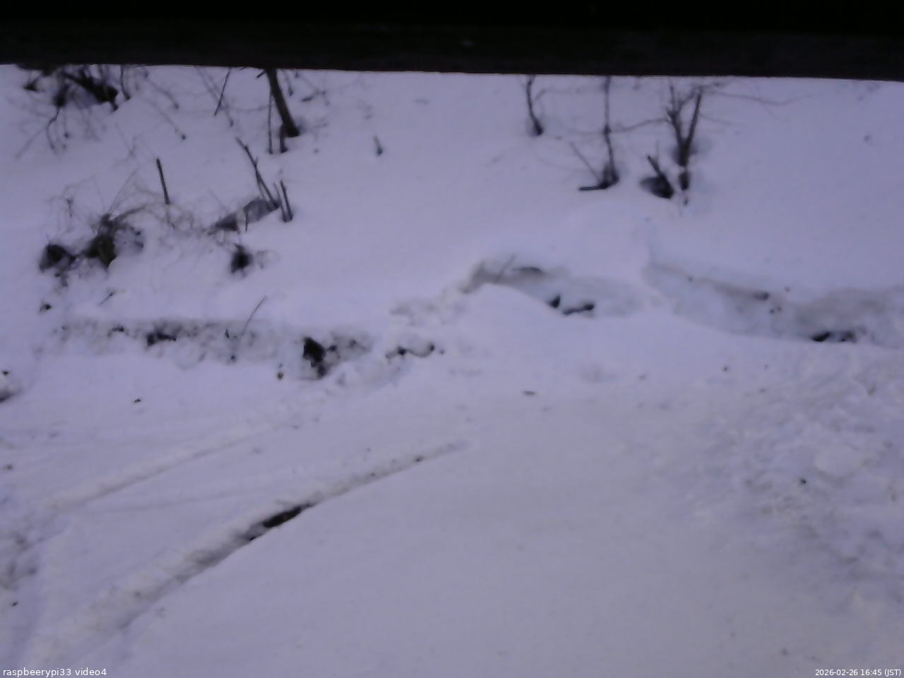 長野県菅平高原 ゆたか山荘 東側(坂下) 2026/02/26 16:45