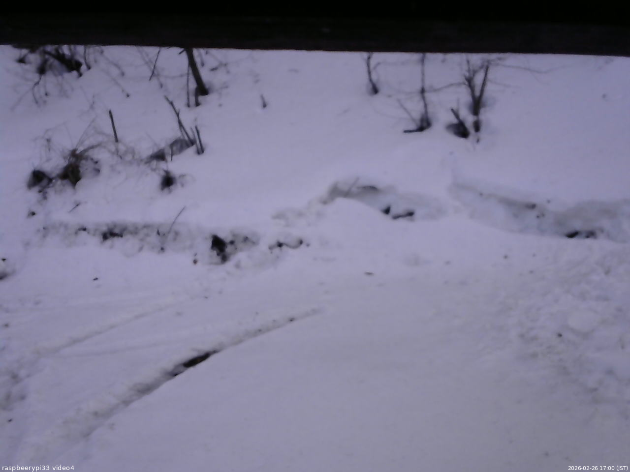 長野県菅平高原 ゆたか山荘 東側(坂下) 2026/02/26 17:00