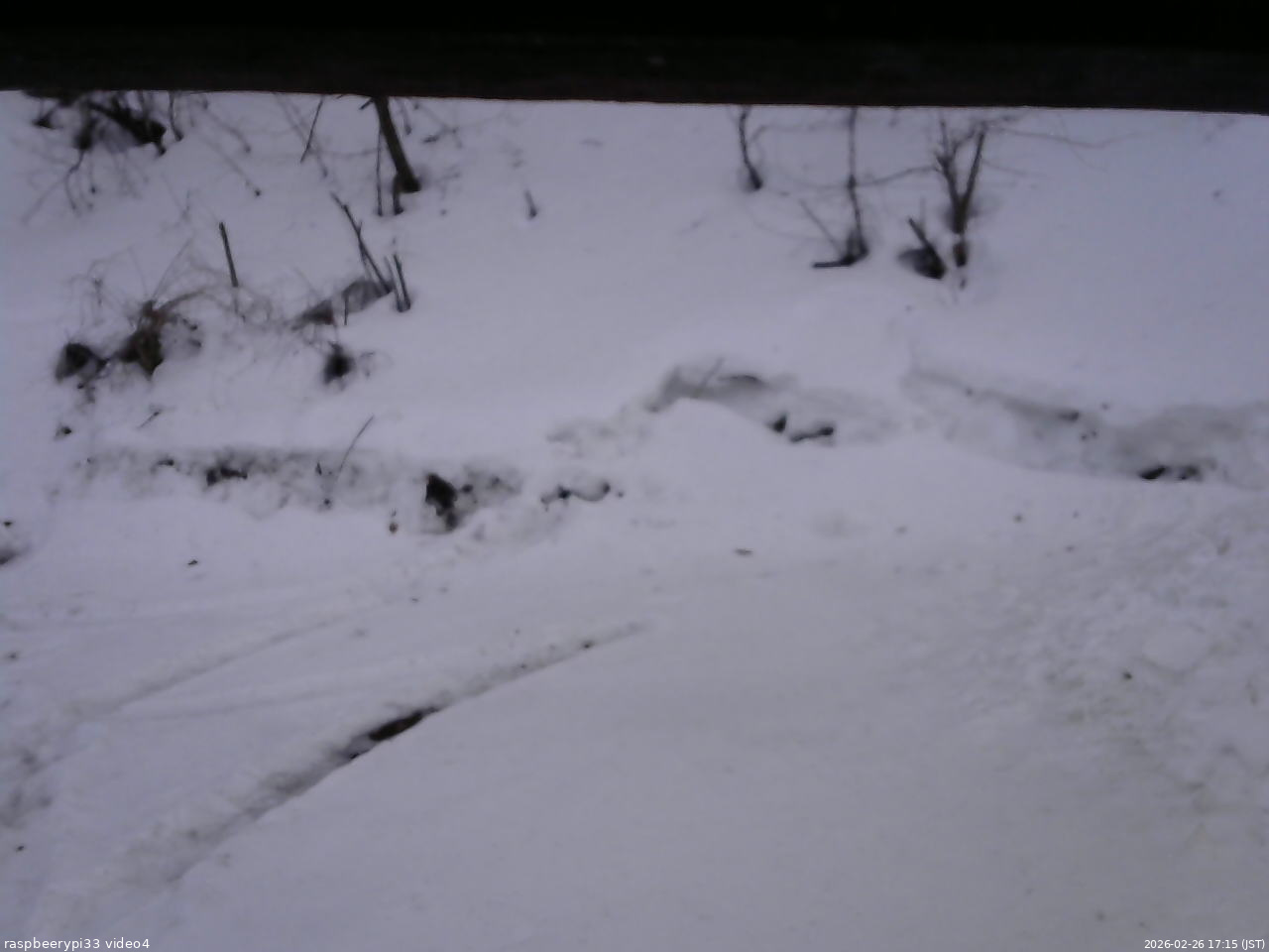 長野県菅平高原 ゆたか山荘 東側(坂下) 2026/02/26 17:15