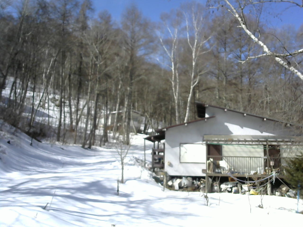 長野県菅平高原 ゆたか山荘 西側(坂上) 2026/02/26 10:30