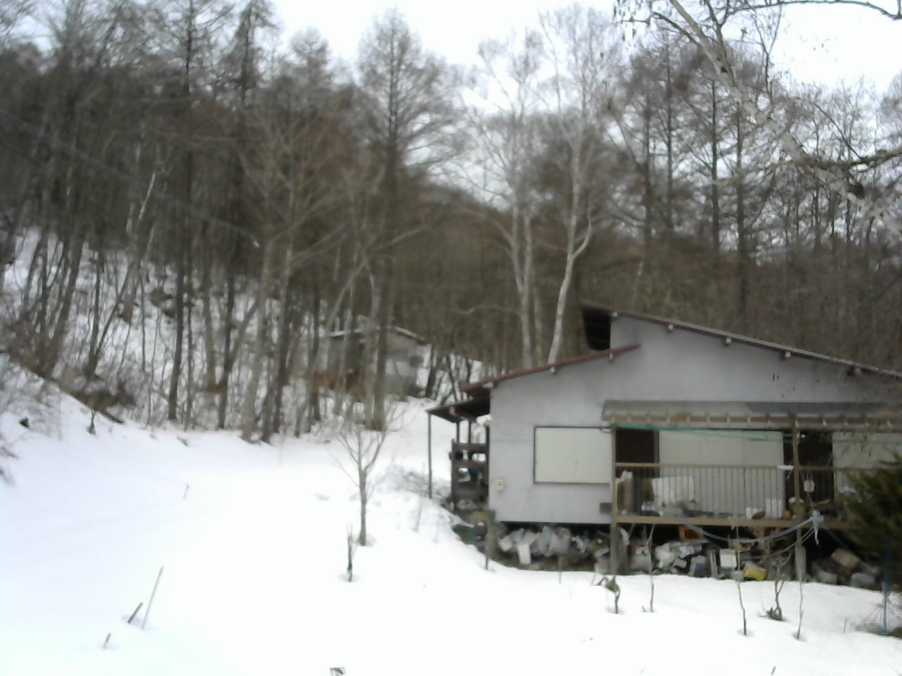 長野県菅平高原 ゆたか山荘 西側(坂上) 2026/02/26 13:45