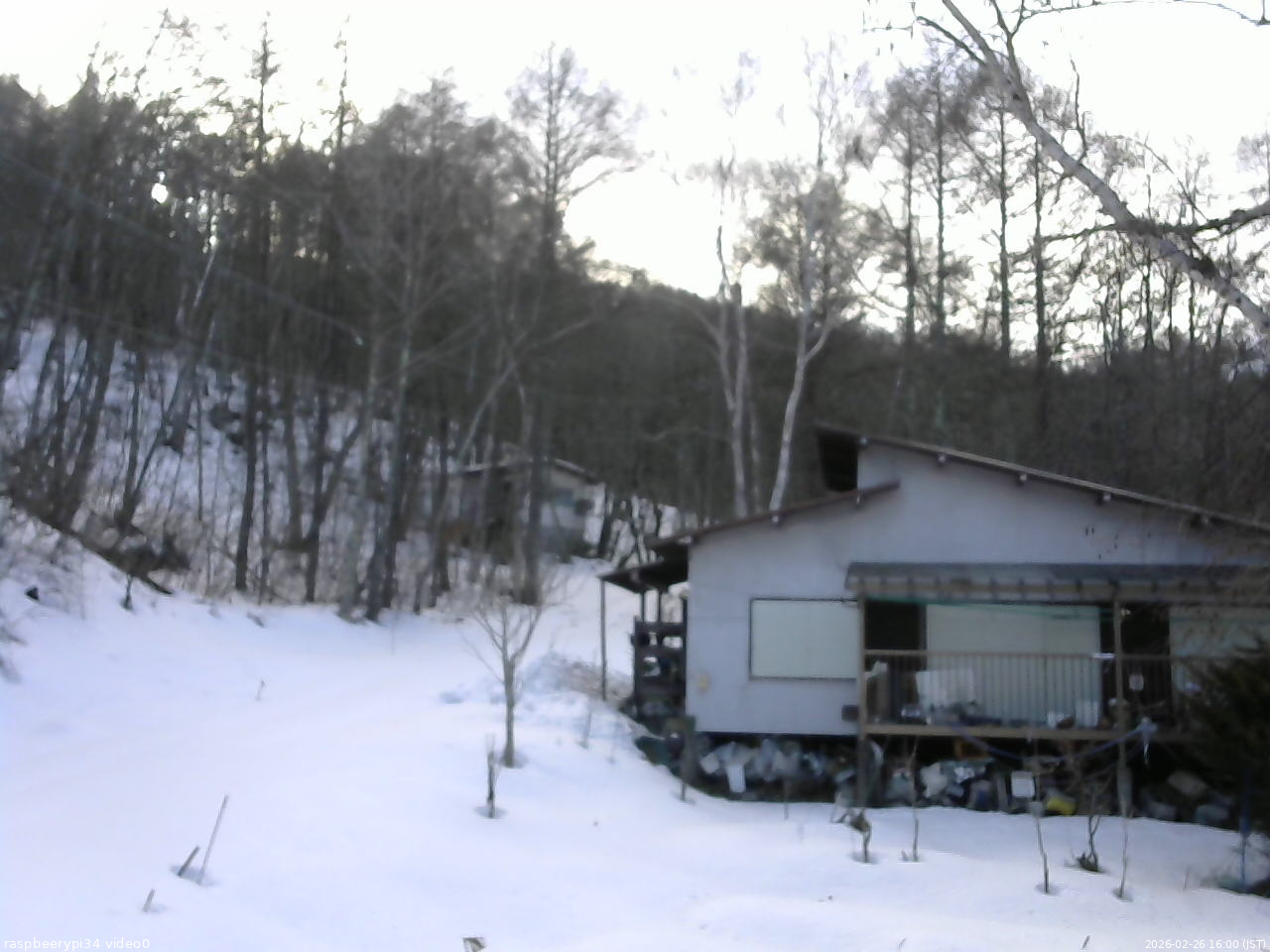 長野県菅平高原 ゆたか山荘 西側(坂上) 2026/02/26 16:00