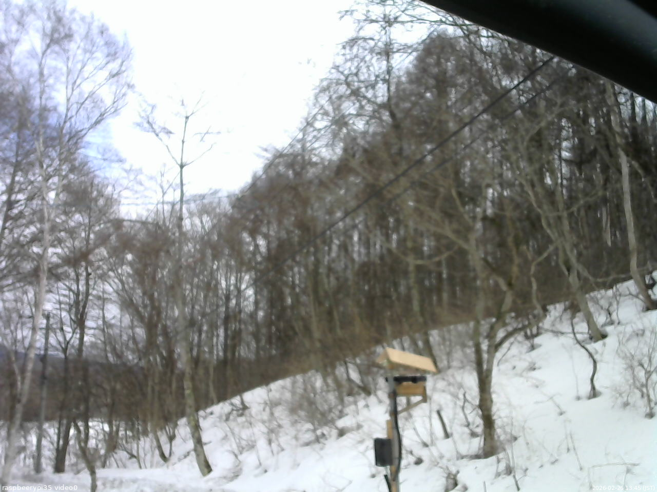 長野県菅平高原 ゆたか山荘 温度計 2026/02/26 13:45