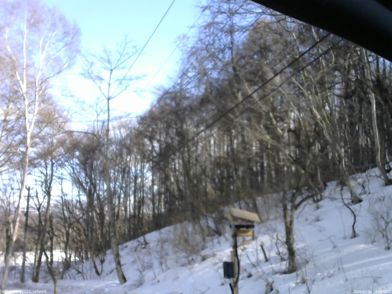 長野県菅平高原 ゆたか山荘 温度計 2026/02/26 14:45