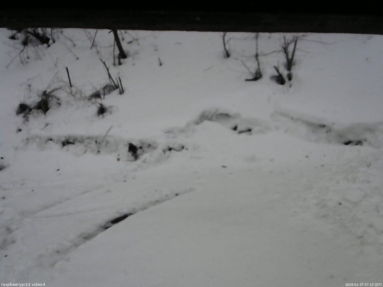 長野県菅平高原 ゆたか山荘 東側(坂下) 2026/02/27 07:15