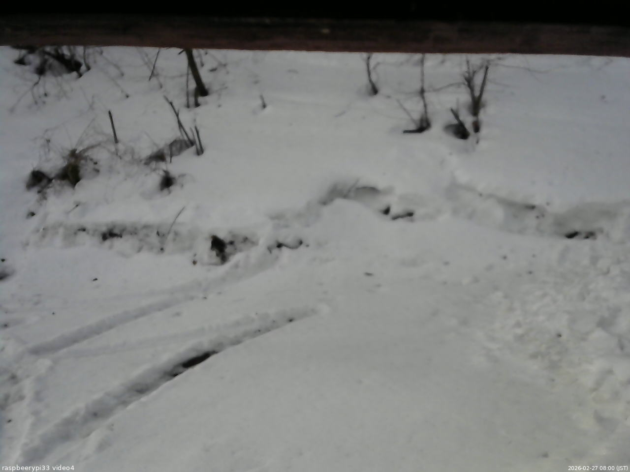 長野県菅平高原 ゆたか山荘 東側(坂下) 2026/02/27 08:00