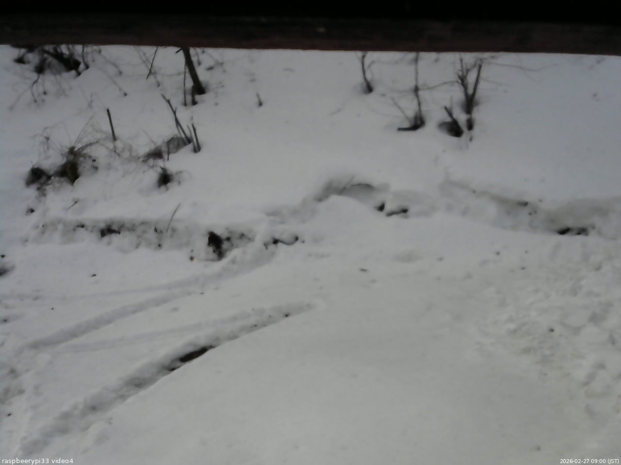 長野県菅平高原 ゆたか山荘 東側(坂下) 2026/02/27 09:00