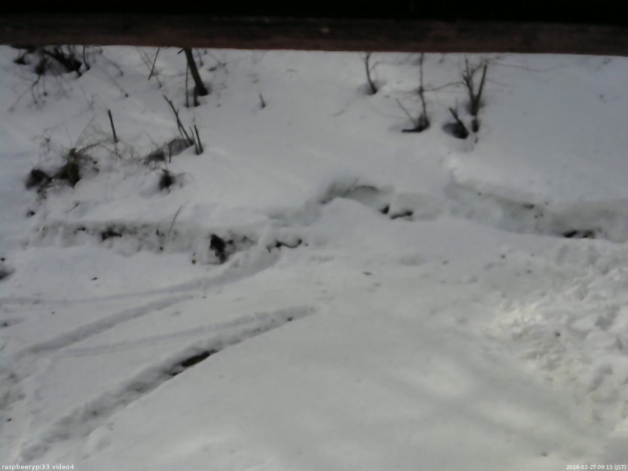 長野県菅平高原 ゆたか山荘 東側(坂下) 2026/02/27 09:15