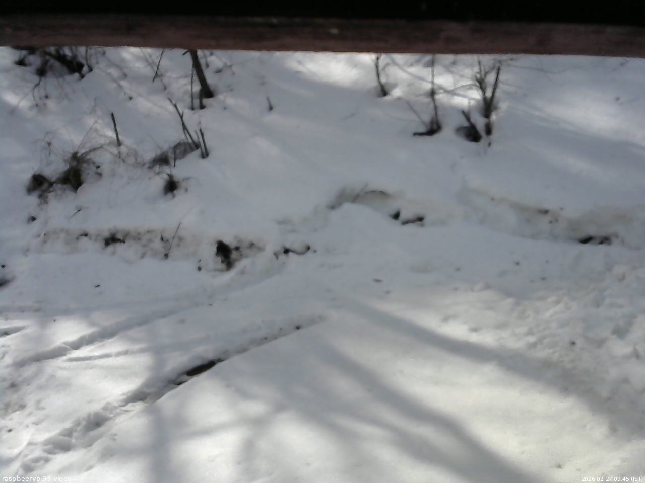 長野県菅平高原 ゆたか山荘 東側(坂下) 2026/02/27 09:45