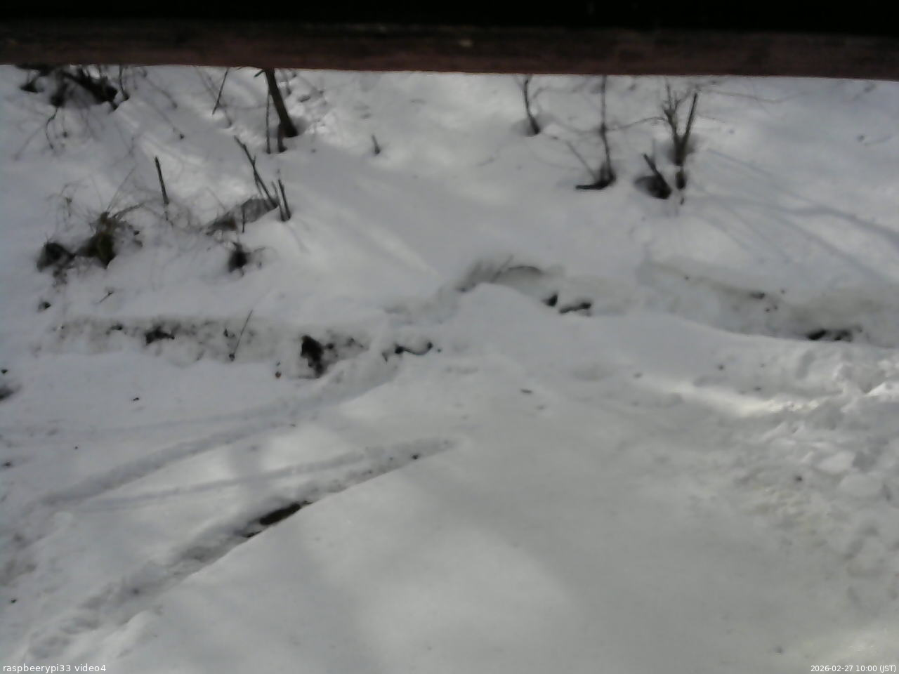 長野県菅平高原 ゆたか山荘 東側(坂下) 2026/02/27 10:00