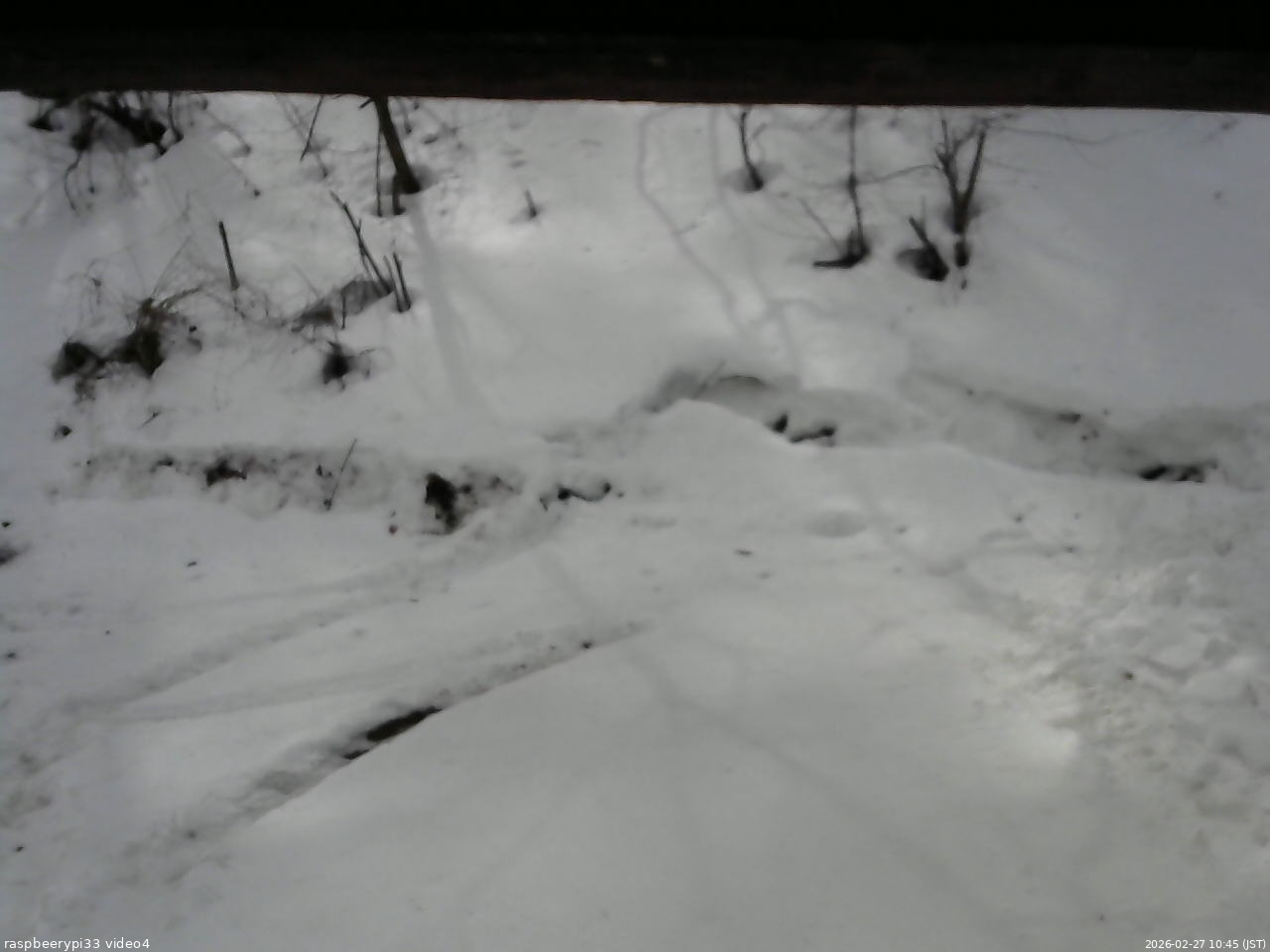 長野県菅平高原 ゆたか山荘 東側(坂下) 2026/02/27 10:45