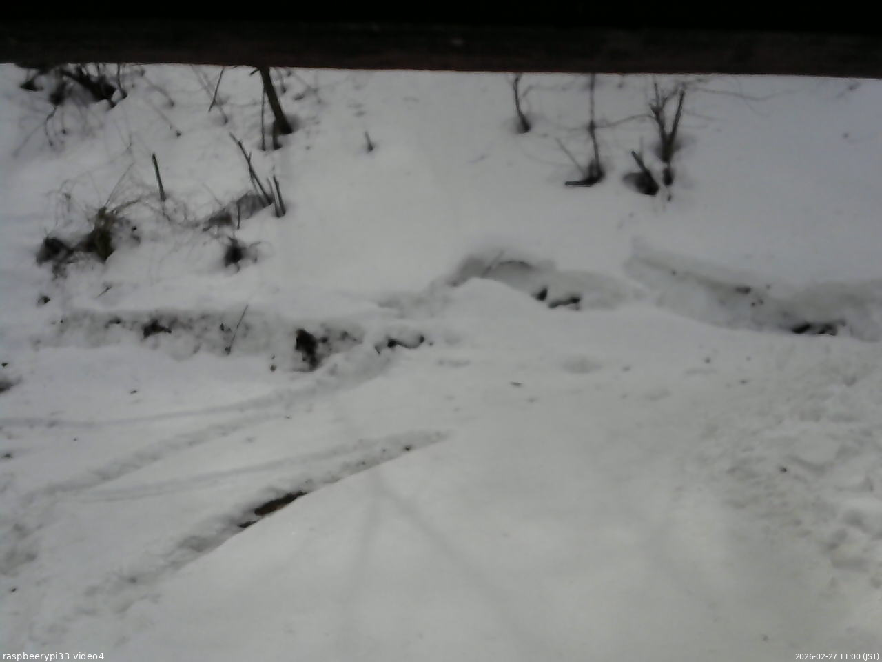 長野県菅平高原 ゆたか山荘 東側(坂下) 2026/02/27 11:00